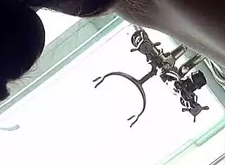 Shyla jennings and jenna sativa share a homemade lesbian sex tape with licking, fingering, and oral play.