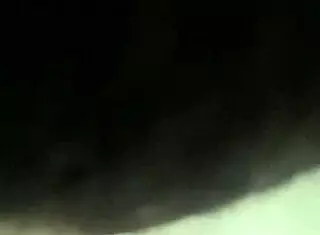 Chupando uma buceta, what do you think?