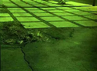 female bondage session with teen domination