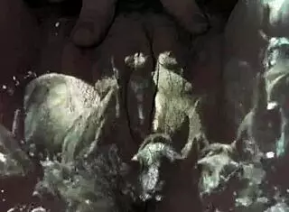 Dark Lantern Entertainment presents a vintage tale of Beauty and the Beast