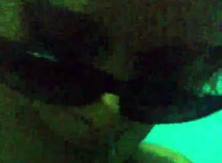 Amateur White Prostitute Sucks Cock Deeply In Her Mouth For Money On The Street