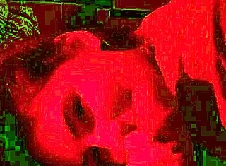 darcy dark surprises with a blowjob on monster cock