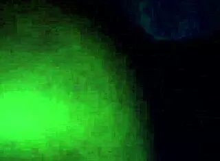 Black teen's first video shows big ass and cock