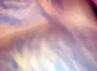 Kamilly Campos Records a Client Meeting