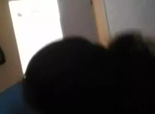 Ex girlfriend sucking my dick melissa page