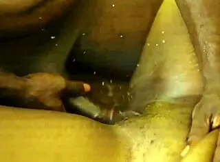 Girls dive into pussy licking.