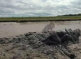 Mud wrestling: who wins, women or man in wet mess?