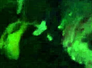 My Roomie Gets Cum On Her Feet In Part 1