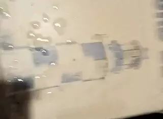 monster cock driving me wild with intense cumshot orgasm