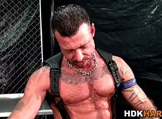 did you see those gay studs getting their asses creampied with monster cocks in leather?