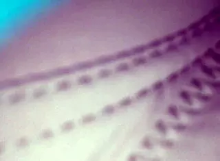 Have You Seen This Yet?