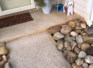 danni helps sexy stranger with big cock