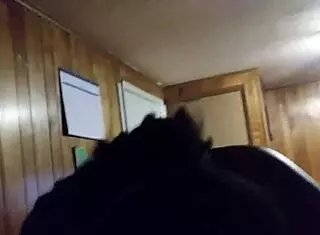 The story of my wife giving an intense blowjob and handjob with her big tits