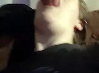 Kingcock receives attention from Queen B in suggestive manner