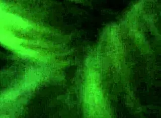 萨拉口交被手指猛抠穴