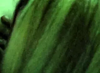 萨拉口交被手指猛抠穴