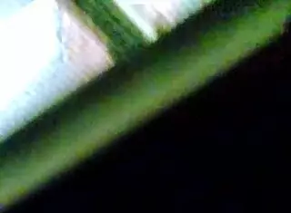 Indian Maid with Big Boobs Makes Me Cum