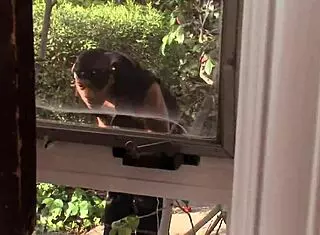 does this black stud deepthroat your hard white cock before fucking your ass?