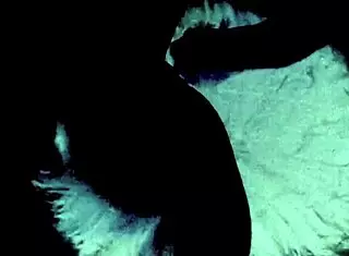 Check Out These Retro Hairy Lesbians in Vintage Porn