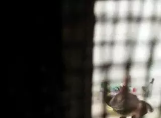 someone secretly watches in the bathroom that evening