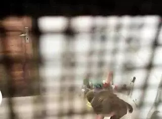 someone secretly watches in the bathroom that evening