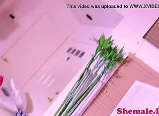 Amazing SHEMALE newbie WANKS in STOCKINGS