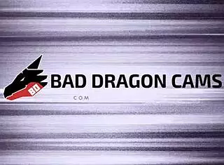 two huge bad dragon dildos stretching my ass anal 😍