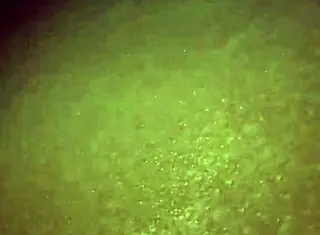 Drunken MILF Exploited in Homemade Masturbation and Blowjob