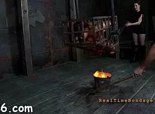 Four naked angels in cage licking balls and sucking cocks