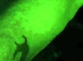 i'm fucking brittney hard, feeling every thrust in this amateur session