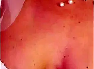 Have you seen these new dirty blowjob snapchats from amateurs?