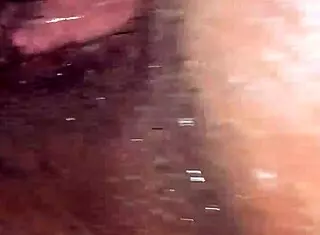 Wet black pussy getting slammed hard and deep.