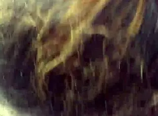 She Deepthroats Monster Cock With Sloppy Blowjob