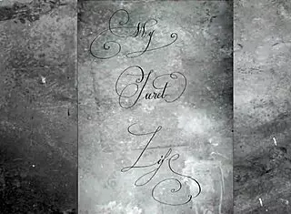 Dive into vintage pornography with wild threesome action