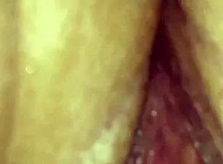 Do you want to taste this juicy pussy right now?