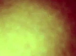 Do you want to taste this juicy pussy right now?