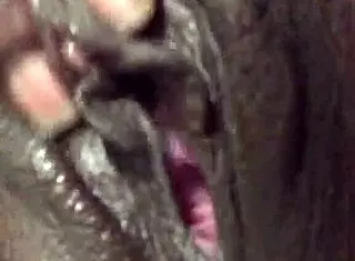 I played with that pretty black pussy so good.