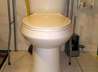 Intense Dildo Fucking Deep In Huge Ass