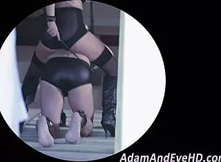 Busty domina says, Take it hard while I wear these stockings!