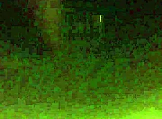 mi cuñada y yo en encuentro amateur