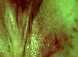 This is the mah00265 mp4 video file for viewing