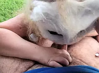 I watch my wife suckin' dick in the backyard, cumshot everywhere