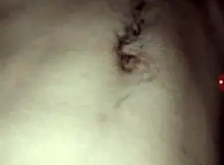 帅哥男同诱人表演秀