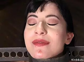 brunette in doggy device bondage fucked