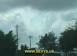 Amateur Blowjobs Leading To Facial Cumshots