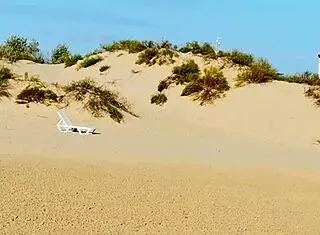 I watched this hot milf masturbate on a public beach