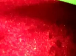 i'm this bbw teen doin' some hardcore stuff with my big tits, but i messed up the words