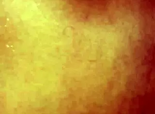 My Neighbor Screams When I Break Her Ass!