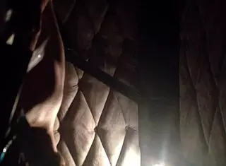 We had a hot quickie in the car, it was amazing