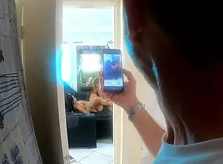 The white head watches the boat house from afar